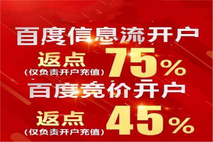 百度推广的关键词策略——成功案例解读